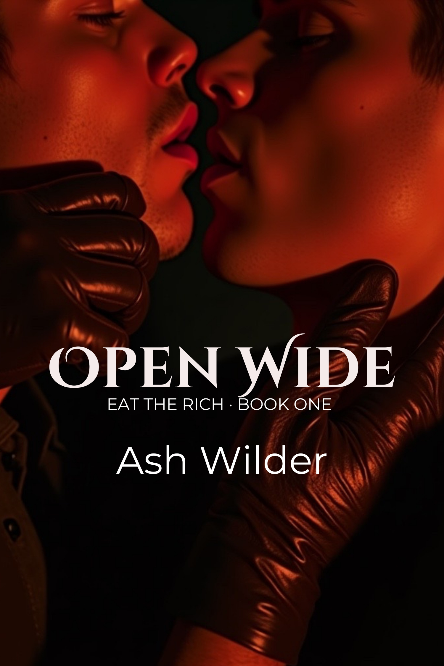 Cover of Open Wide